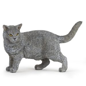 Bedel feestbeest Poes