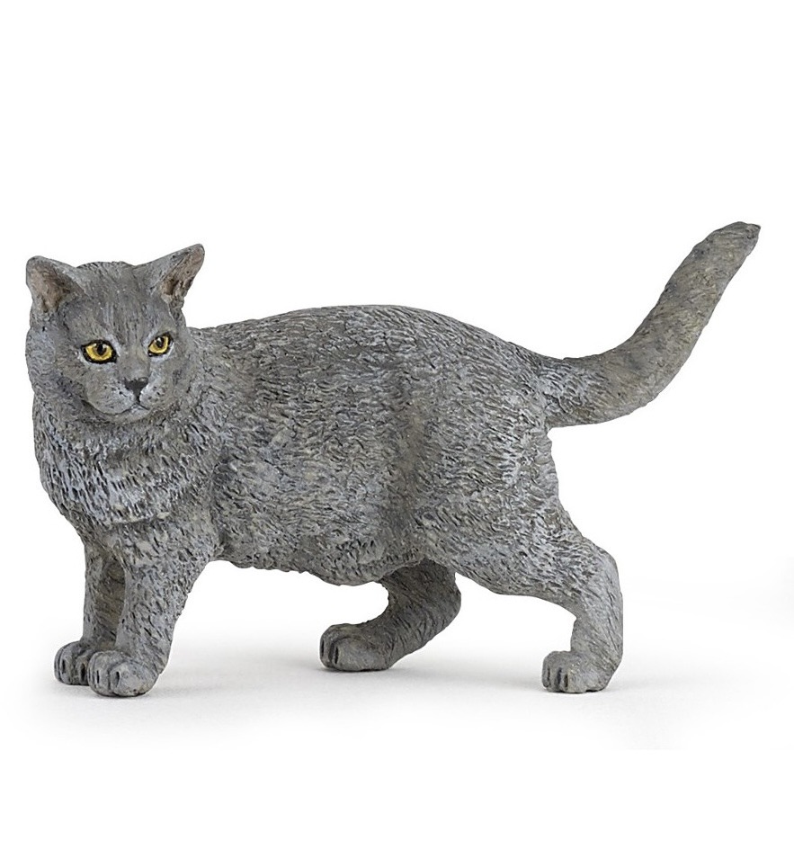 Bedel feestbeest Poes