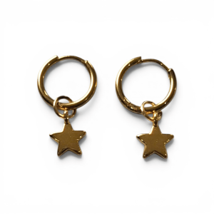 Oorbellen Twinkle