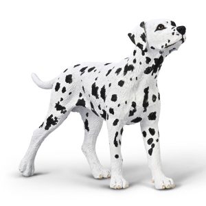 Bedel feestbeest Dalmatiër