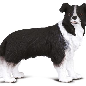 Bedel feestbeest Border Collie