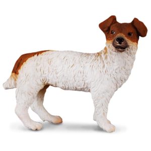 Bedel feestbeest Jack Russel