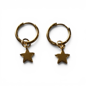 Oorbellen Twinkle