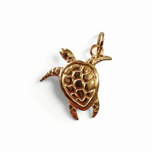 Bedel Schildpad