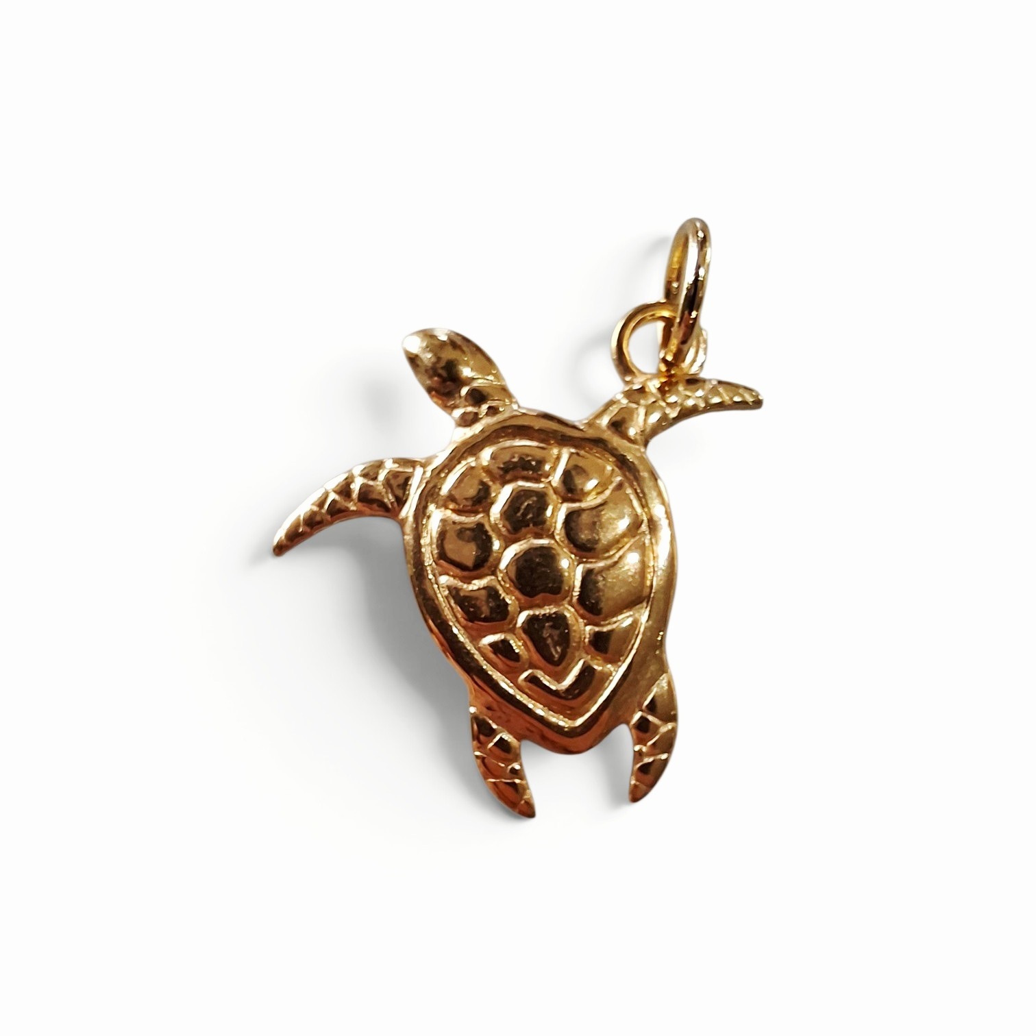 Bedel Schildpad